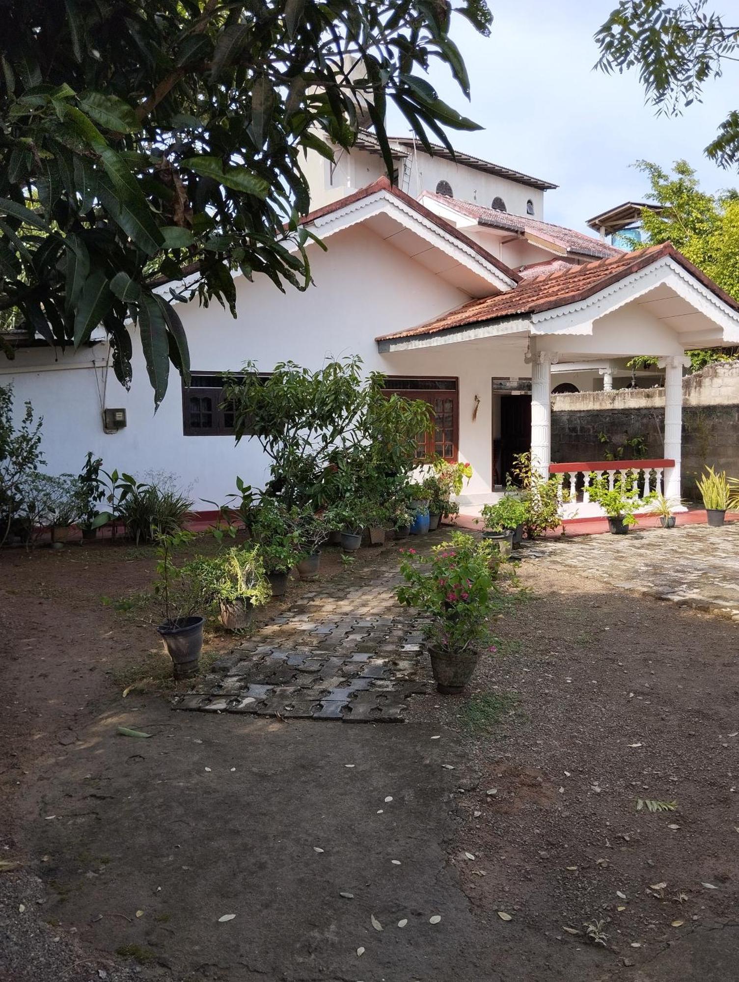 Hotel Mirissa White House Extérieur photo