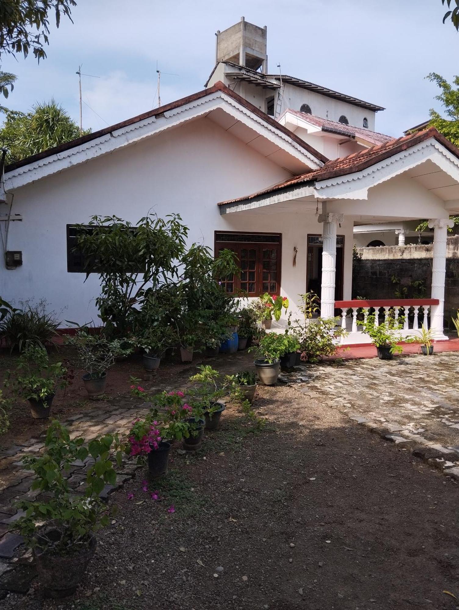 Hotel Mirissa White House Extérieur photo